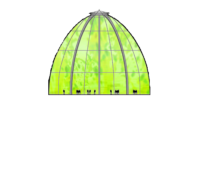 Die Kuppel